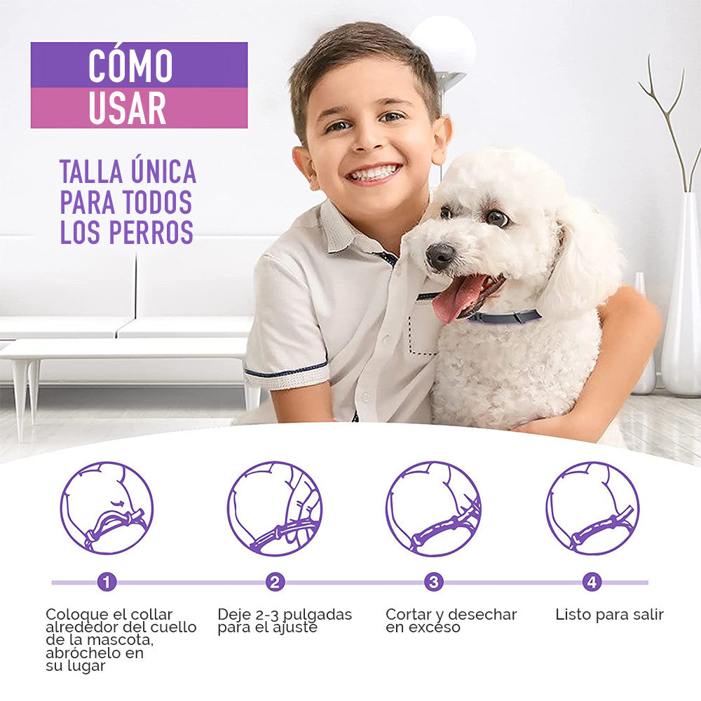 Collar relajante para  perros con feromonas