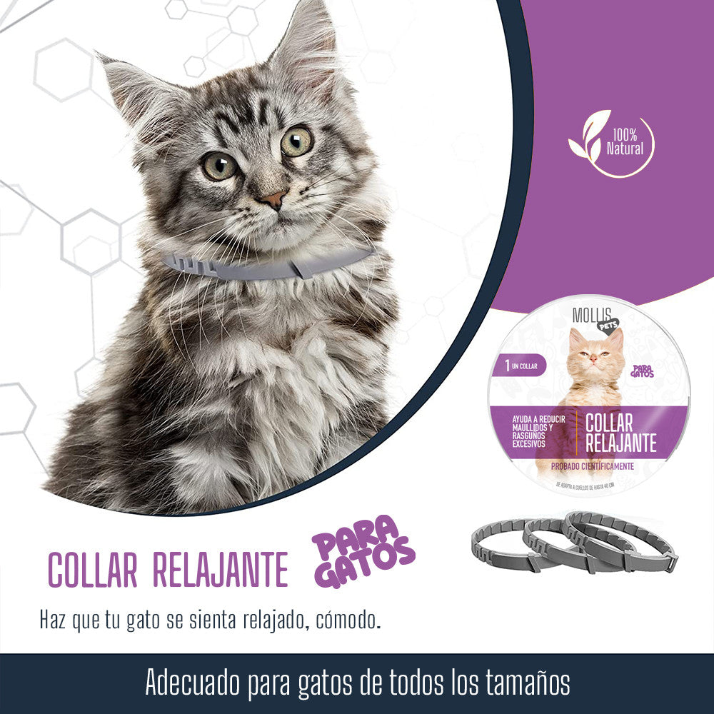 Collar relajante para gatos con feromonas