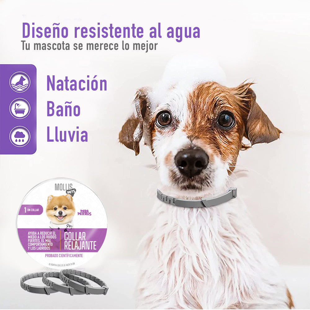 Collar relajante para  perros con feromonas