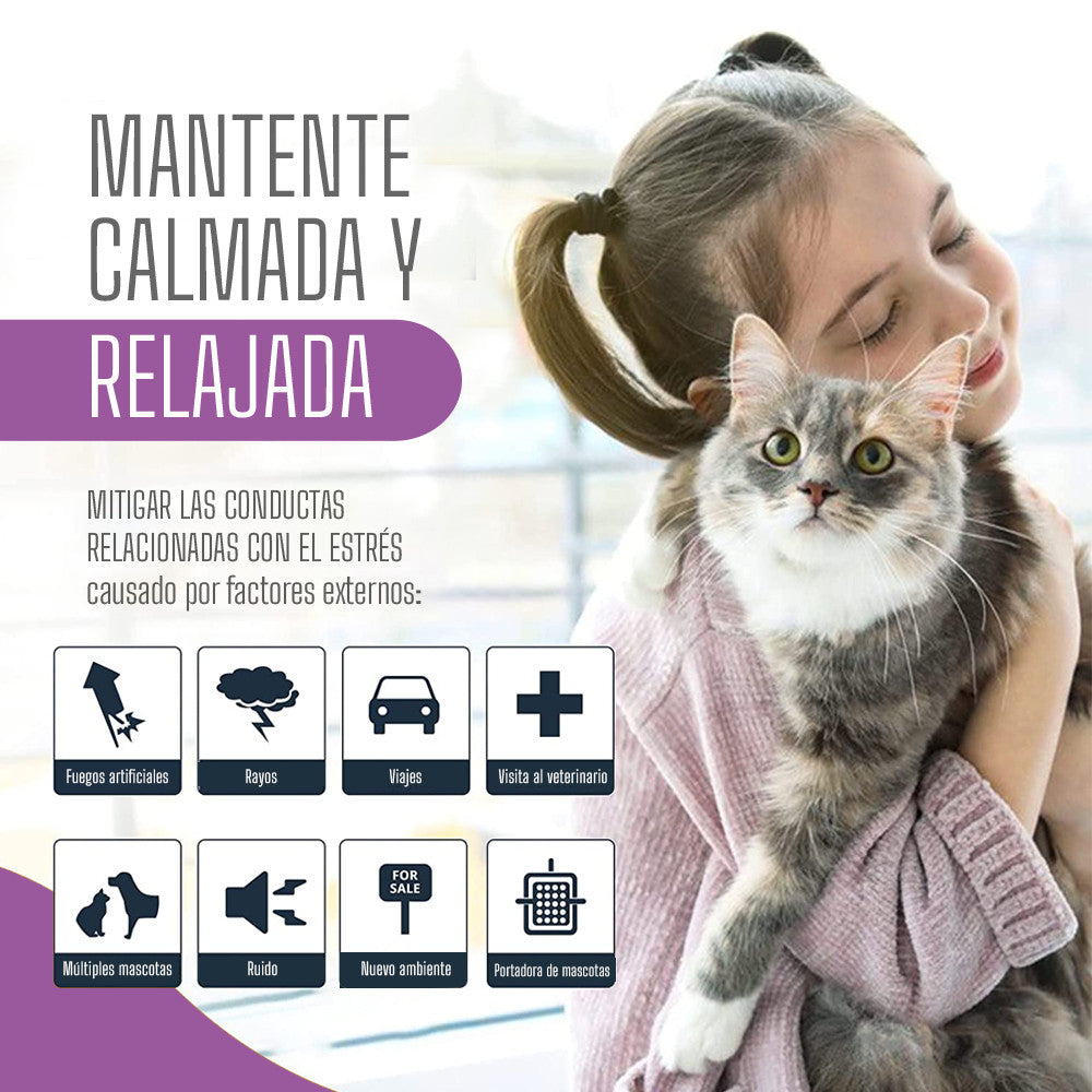 Collar relajante para gatos con feromonas