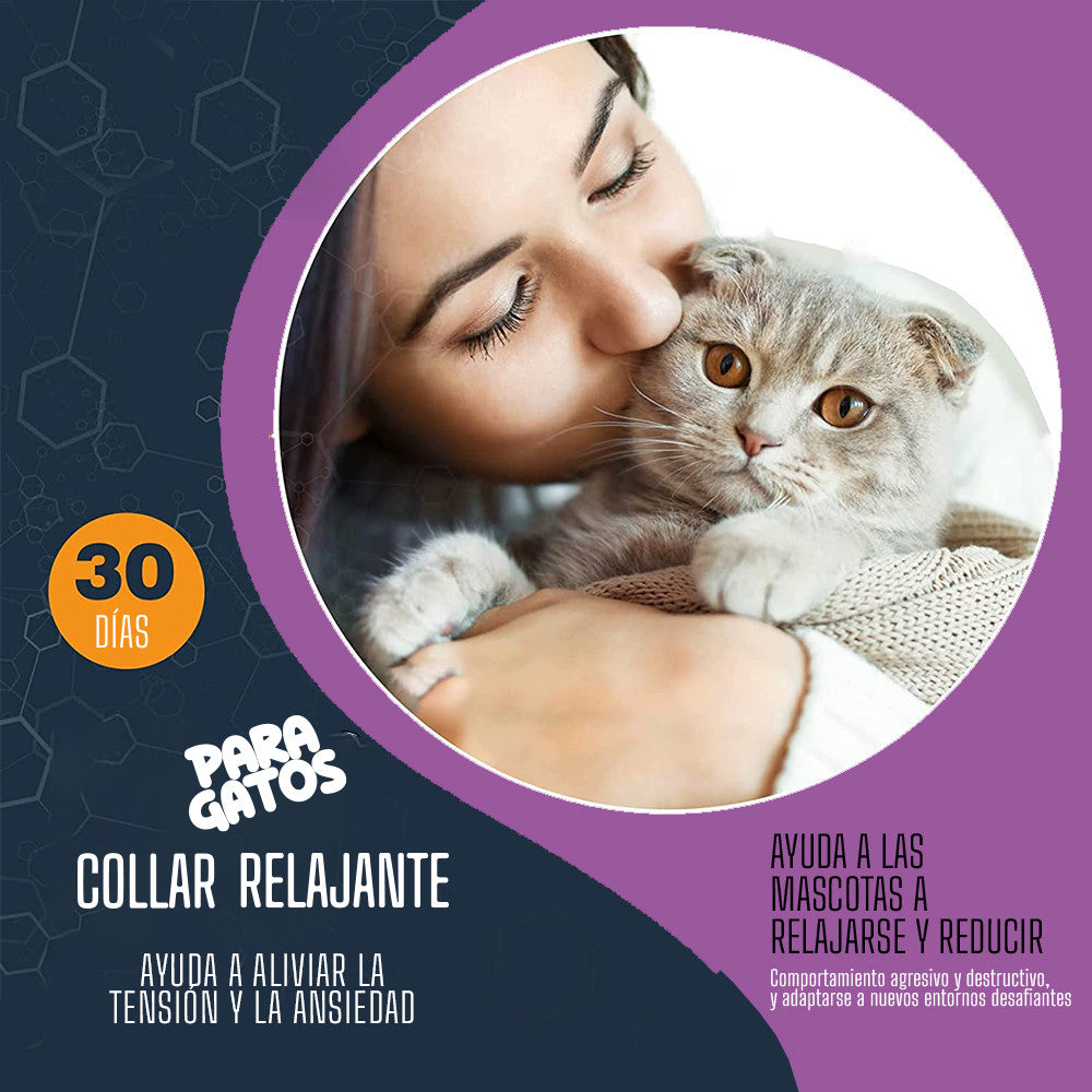 Collar relajante para gatos con feromonas