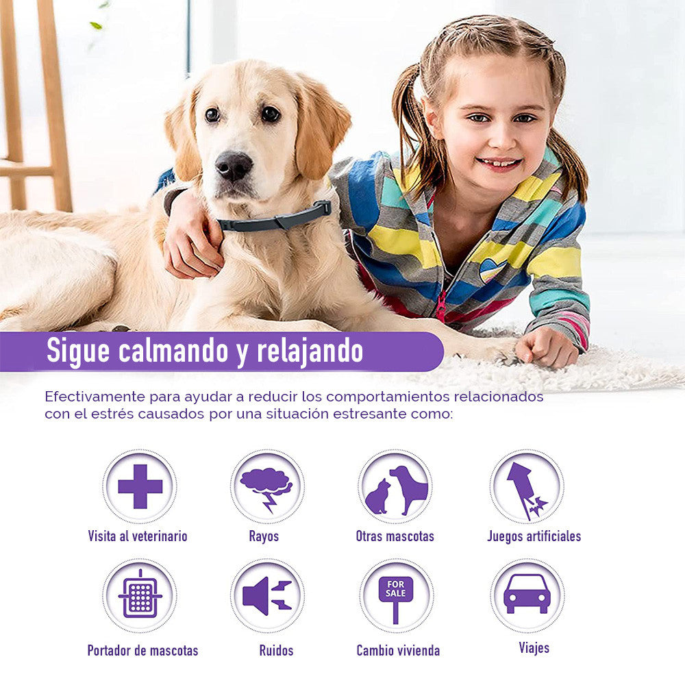 Collar relajante para  perros con feromonas