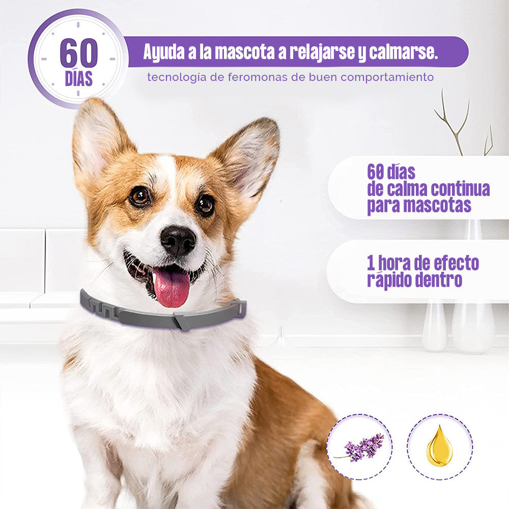 Collar relajante para  perros con feromonas