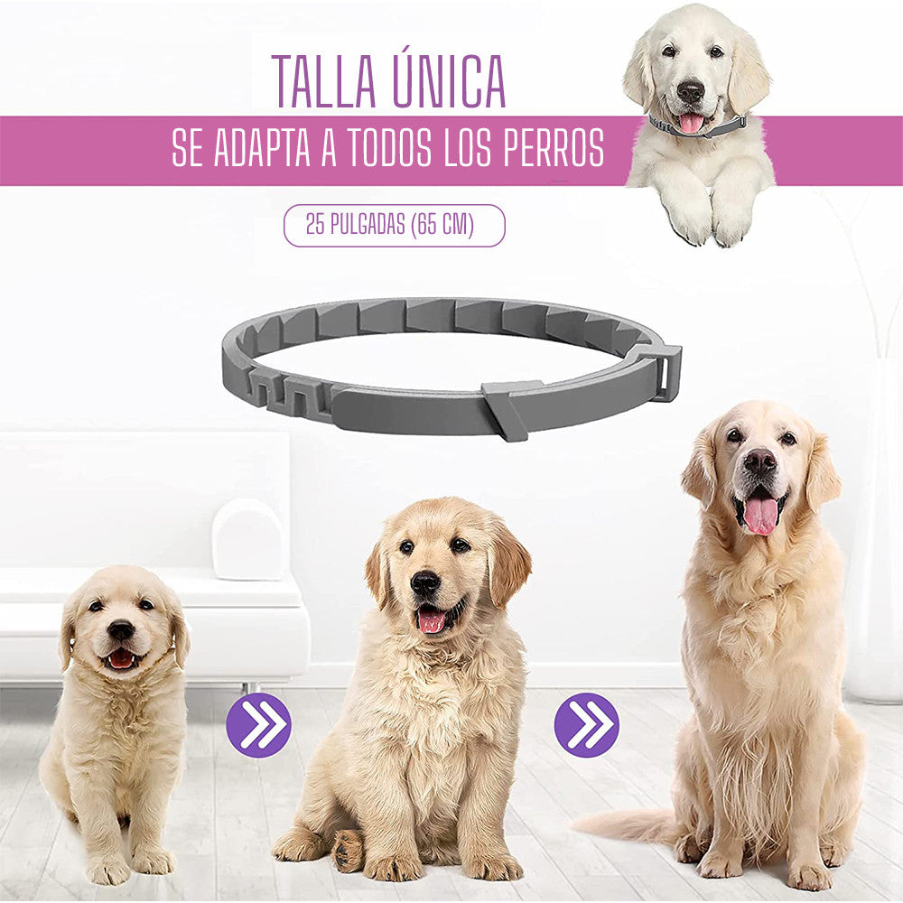 Collar relajante para  perros con feromonas